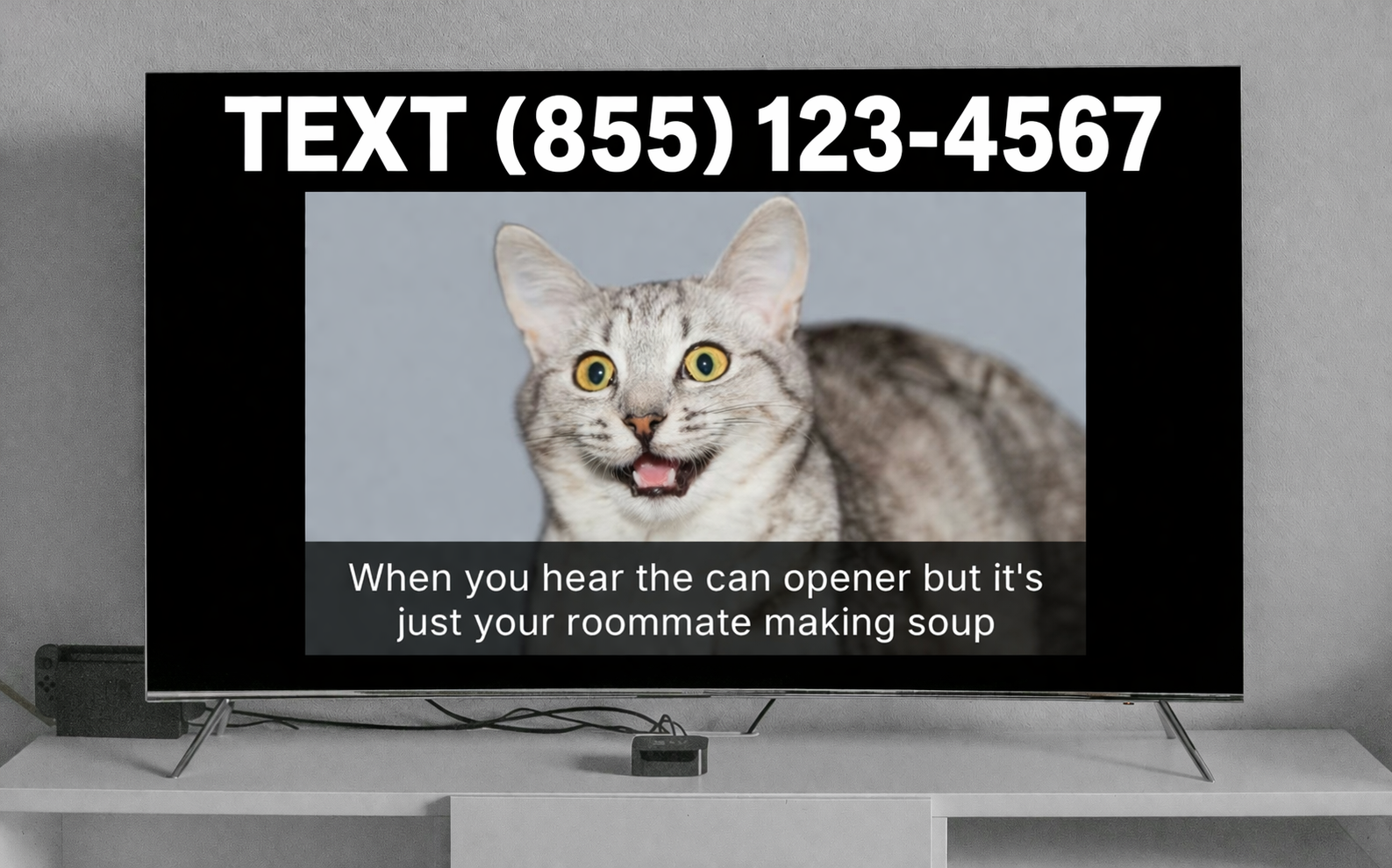 Text2TV displaying a photo on a TV screen